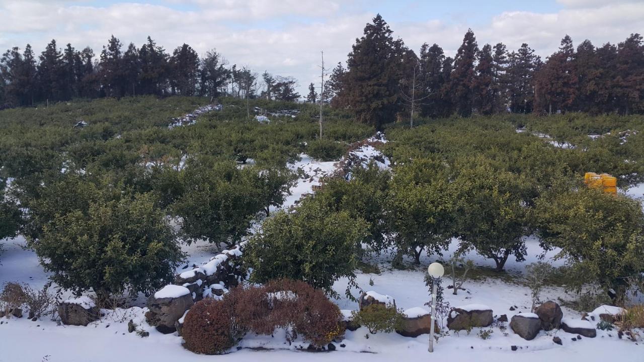 Jeju Mermuri Yerye-dong Exterior foto